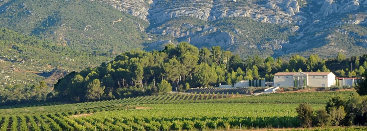 La Sainte-Victoire, terre de Grands Vins​