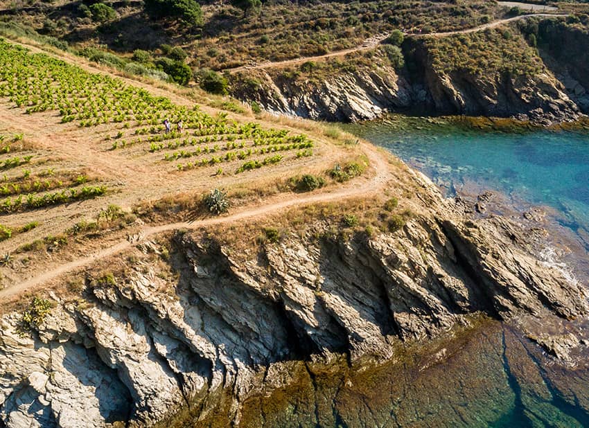 Terroir des Clos de Paulilles