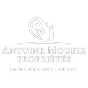 Logo Antoine Moueix Propriétés - Saint-Emilion - Médoc