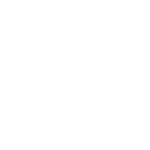 Logo L'Avenir