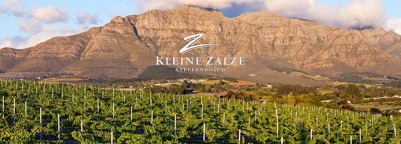 AdVini South Africa acquiert Kleine Zalze Wines