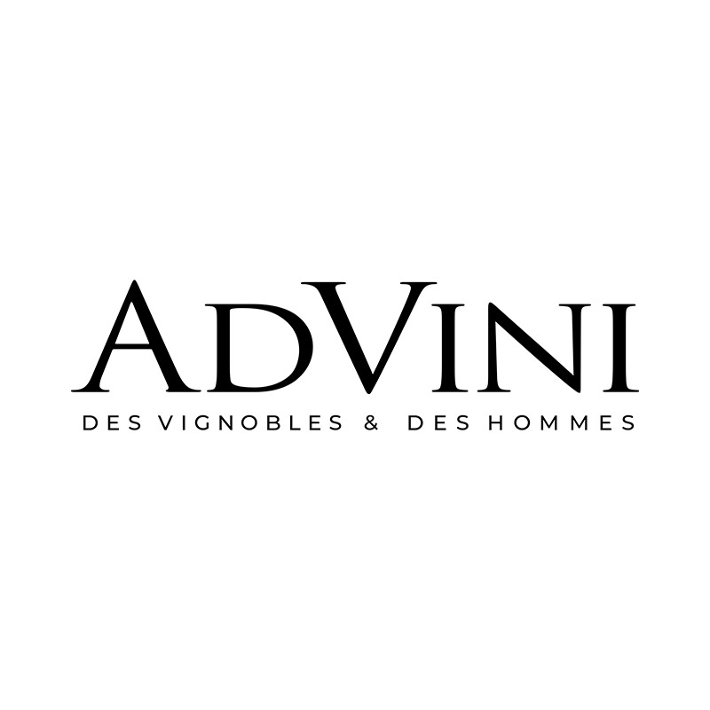 (c) Advini.com