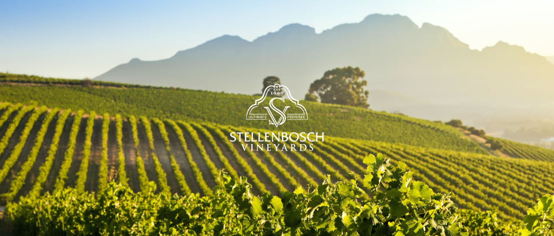 Stellenbosch Vineyards awarded Carbon Hero status