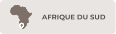 Afrique du sud