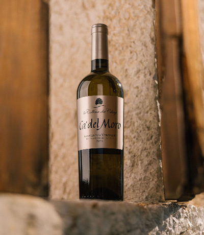 C-Ca del Moro beautyshot CA' DEL MORO<br />
GARGANEGA VERONESE IGT