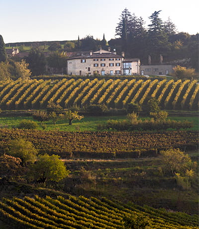 LA COLLINA DEI CIGLIEGI