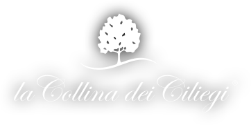 logo Collina LA COLLINA DEI CIGLIEGI