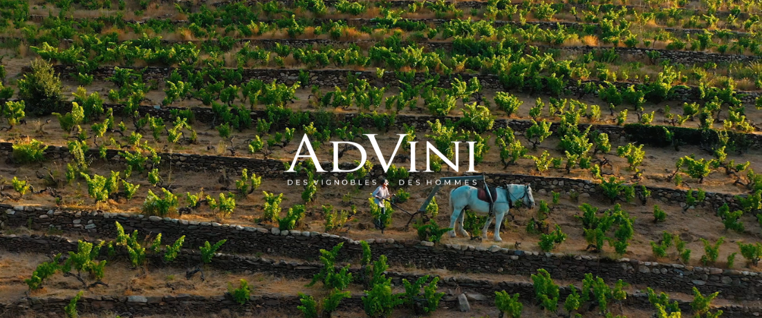 AdVini dévoile son nouveau film institutionnel