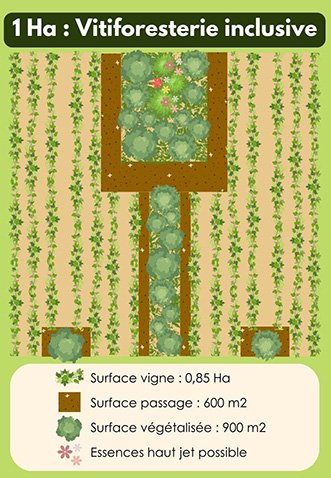 Vitiforesterie vInclusive Vitiforesterie Inclusive
