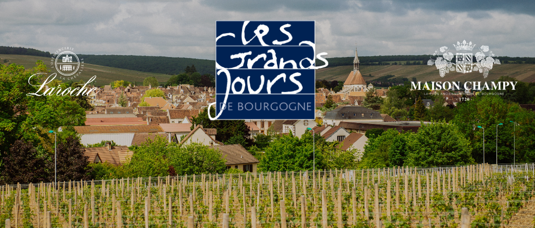 Les Grands jours de Bourgogne : Maison Champy et Laroche au cœur de l’événement