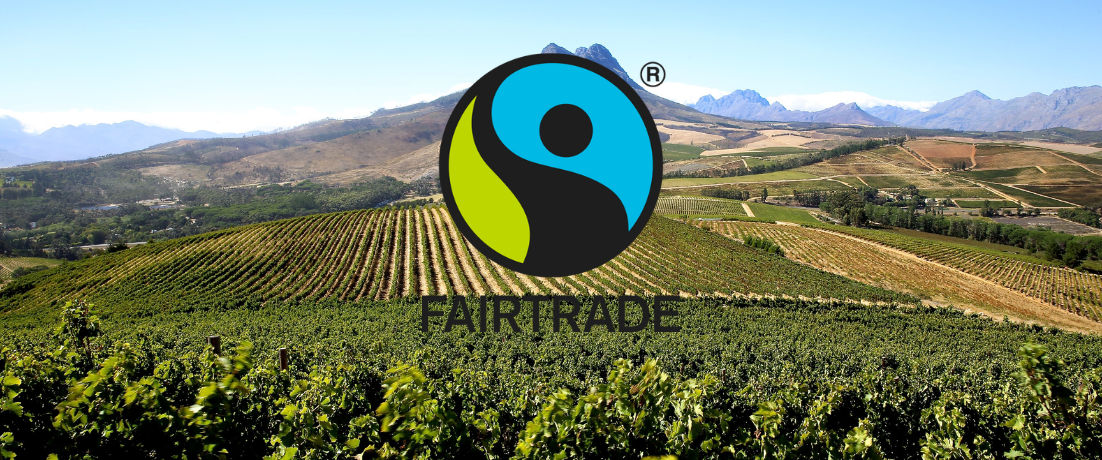 Fairtrade : le Bonheur, propriété sud-africaine d’AdVini obtient la certification