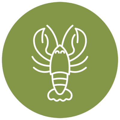 Fruits de mer