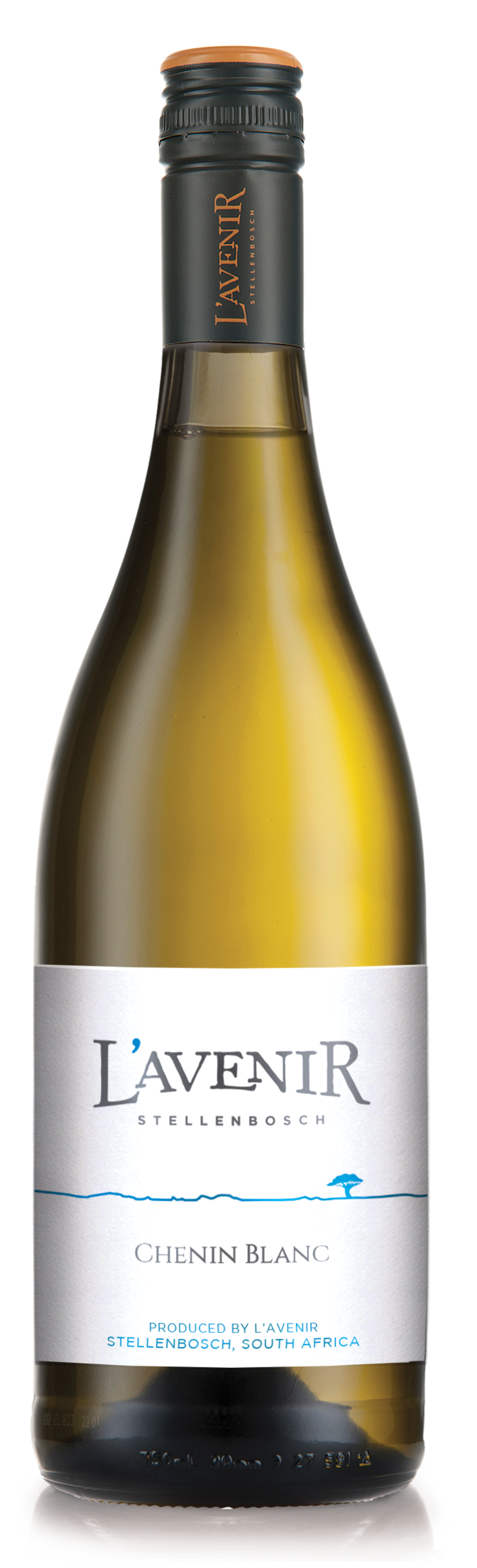 HORIZON-CHENIN-BLANC Le Petit Chardonnay