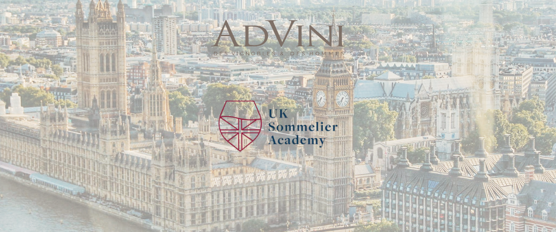 AdVini et la UK Sommelier Academy : un partenariat en faveur de la sommellerie