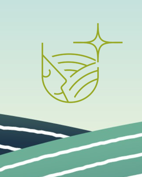 5 bonnes raisons de candidater au Concours Vignerons et Terroirs d&rsquo;Avenir